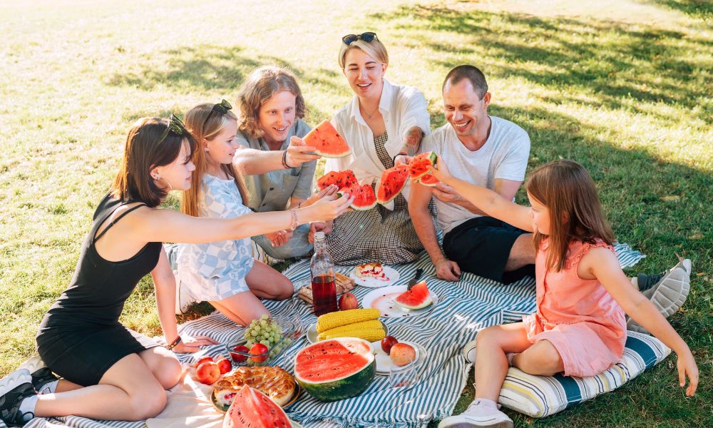 family have a picnic